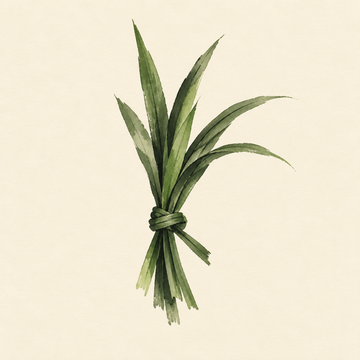 Pandan
