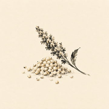 Quinoa