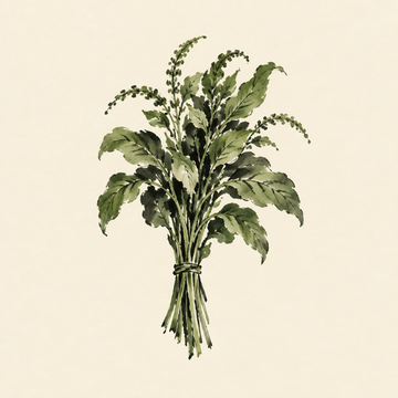 Amaranth greens