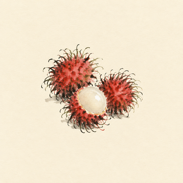 Rambutan