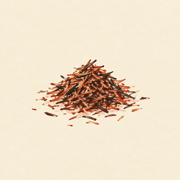 Rooibos