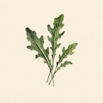 Arugula