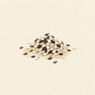 Sesame