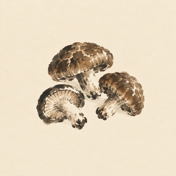 Shiitake