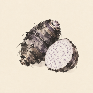 Taro