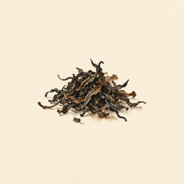 Lapsang souchong