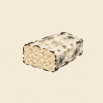 Tempeh