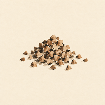 Buckwheat