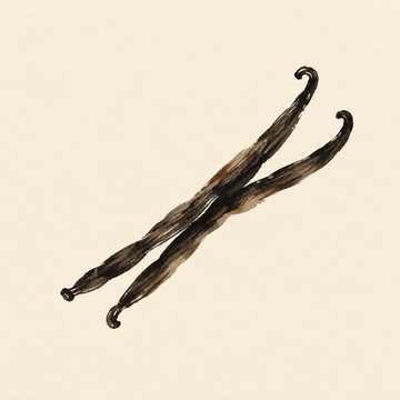 Vanilla
