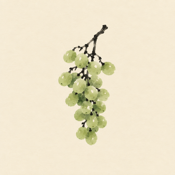 Verjus