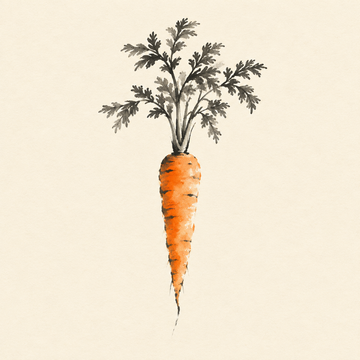 Carrot