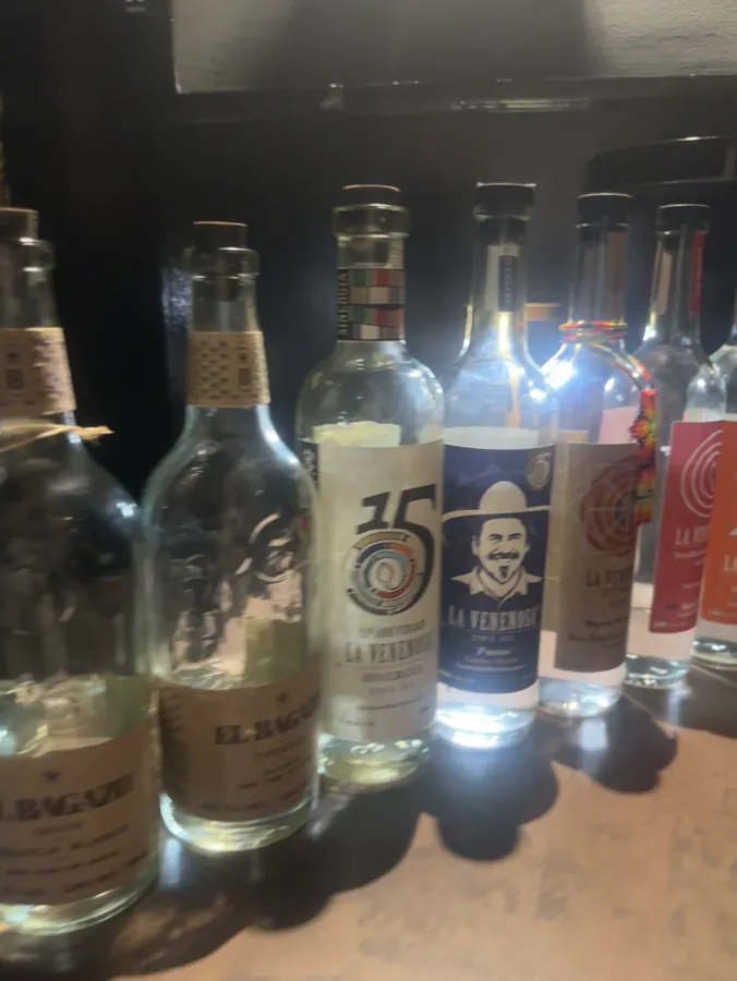 A slow pan across a lineup of small-batch artisanal agave bottles at the Entre Compas meet.